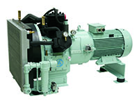 Sauer WP226L Compressor