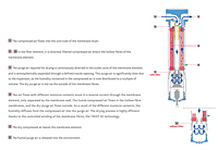 Operating Principle of DRYPOINT® M Plus Membrane Dryers