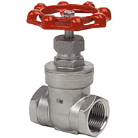 Stainless Steel Gate Valve