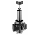 Wilkerson R30 Inline Regulator