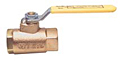 250 Lb. Steam Bronze Ball Valve